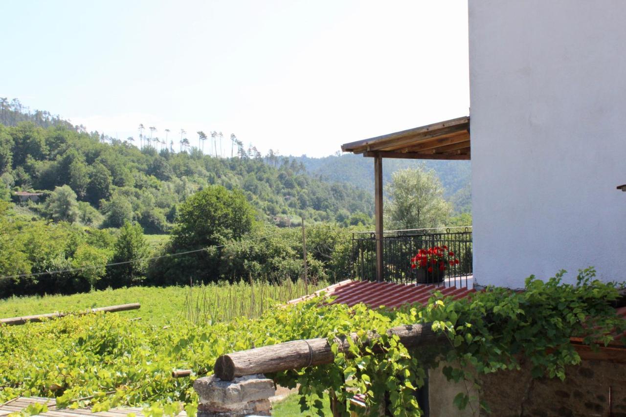 פיניונה Agriturismo La Ferriera מראה חיצוני תמונה