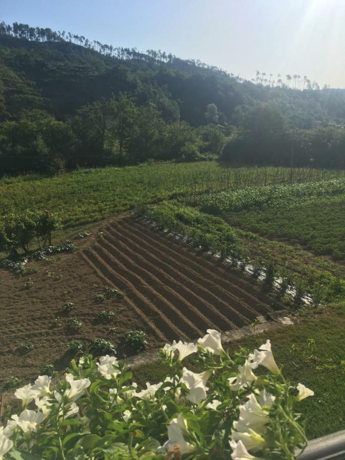 פיניונה Agriturismo La Ferriera מראה חיצוני תמונה